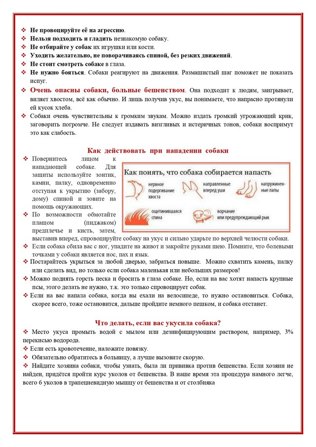 foto 2025 07 28 13 06 001